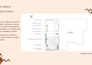 create a professional landscaping plan for your garden